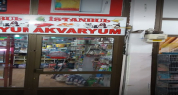 İstanbul Akvaryum